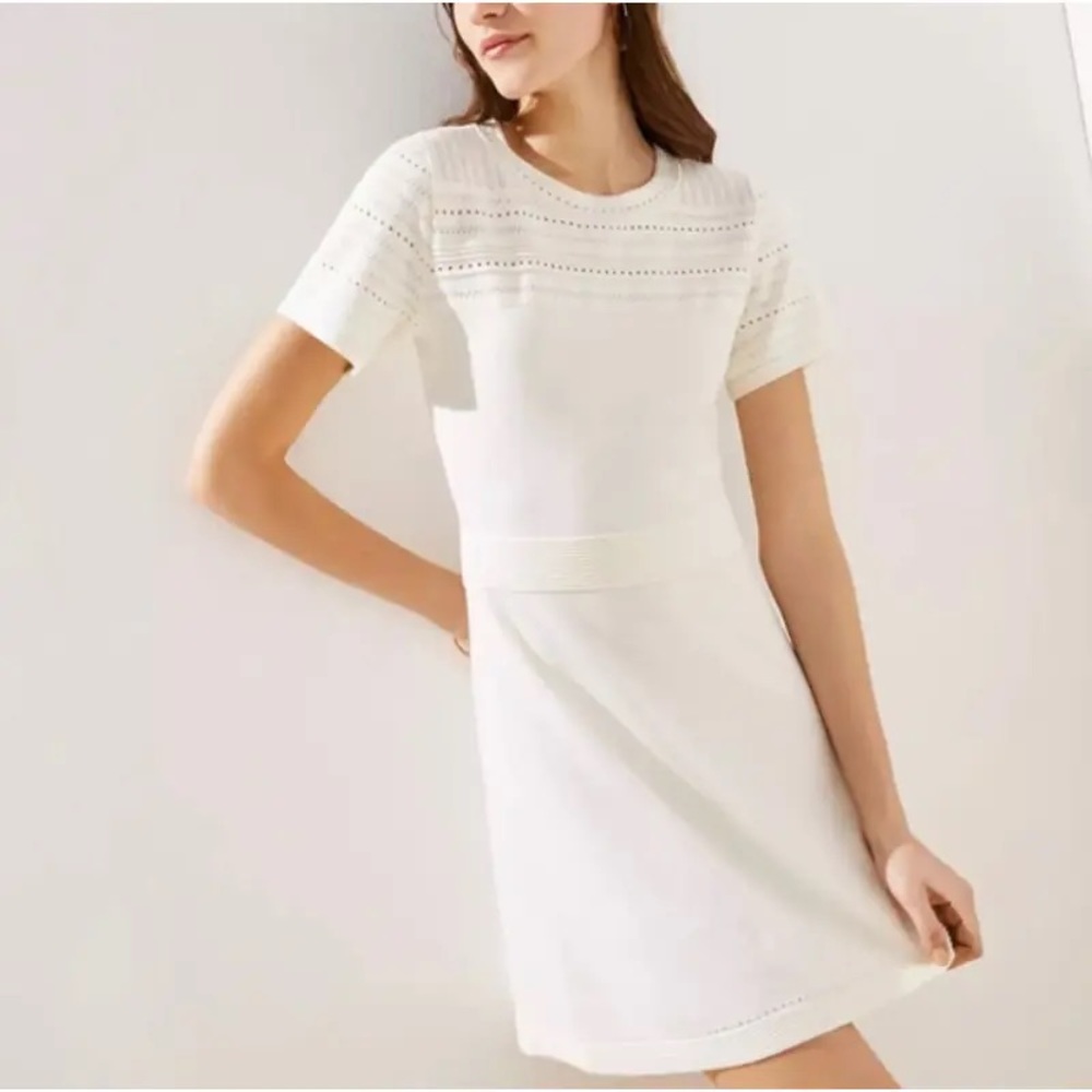 Loft Ivory Textured Yoke Flare Sweater Dress